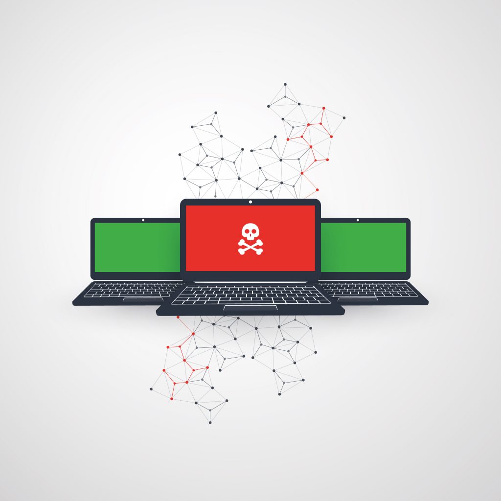 Software Vulnerability